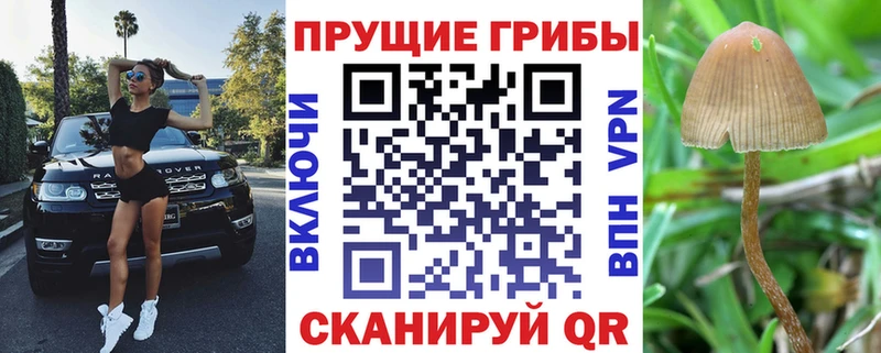 Галлюциногенные грибы ЛСД  omg онион  Озёрск  где найти  